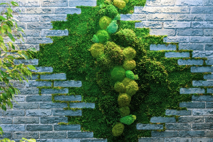 Pourquoi adopter un mur végétal extérieur chez soi ?