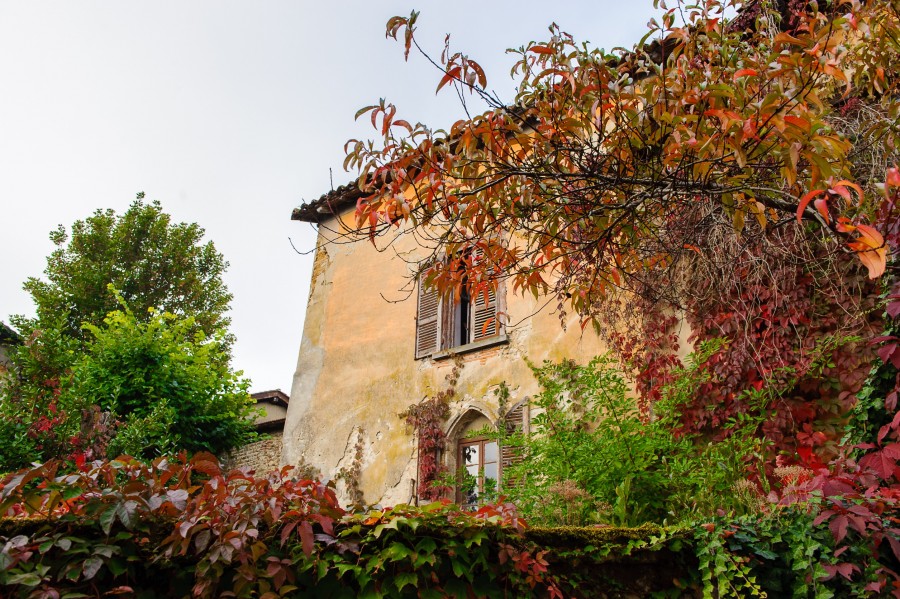 Quels sont les styles de décoration adaptés à une maison provençale ancienne ?